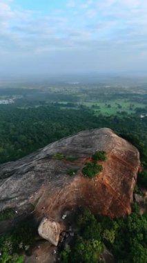 Sri Lanka 'daki çıplak Pidurangala Kayası' nın üzerinde. Birçok turist dağın yanından geçer. Yeşillik arka plandaki manzarayı kaplıyor. Hava görüntüsü. Dikey video.