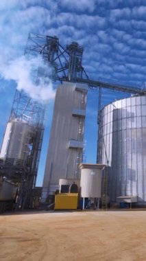 Mavi gökyüzünün altındaki modern fabrika. Gün ışığında büyük tahıl asansörlerinin dışı. Endüstriyel fabrikadan beyaz buhar havaya karışır. Dikey video