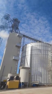 Kocaman hangar binaları. Mavi gökyüzünün altında modern tahıl asansörleri. Tahıl kurutmak için metal yapımından çıkan beyaz buhar. Panoramik manzara. Dikey video