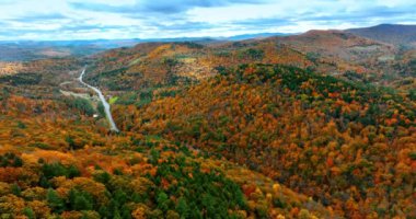 Dağlık araziyi kaplayan ormandaki portakal ağaçları. İnsansız hava aracı görüntüleri Vermont, New England, ABD 'deki renkli ormanların üzerinde..