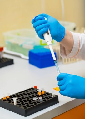 Teknik ekip pipetli sıvı aktarıyor. Mavi eldivenli bir laboratuar teknisyeni araştırma laboratuarındaki bir pipetle sıvı örnekleri dikkatlice aktarıyor..