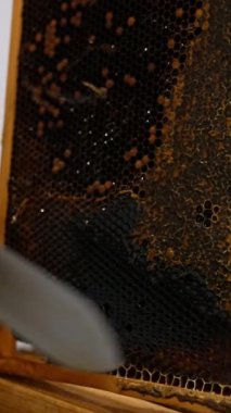 Elektrikli bıçak bal peteklerinin üzerindeki balmumunu kesiyor. Arıcı organik ürün çıkarmak için hücreleri balla kaplıyor. Kapatın. Dikey video