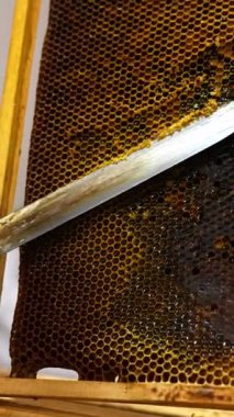 Apiarist çerçeveden koyu bal peteği ile ekstra balmumu keser. Adam çerçeveyi döndürüp bal çıkarmaya hazır mı diye kontrol ediyor. Kapatın. Dikey video