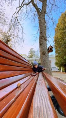 Tatlı çocuk sonbahar parkında bir bankta koşuyor. Çocuk kestaneleri banktan alıp fırlatıyor. Dikey video.