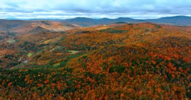 Kayalık araziyi kaplayan çarpıcı sonbahar ormanları. Güzel Vermont, New England, ABD sonbaharda. Hava görünümü.