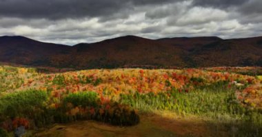 Vermont, New England, ABD 'deki güzel sonbahar ormanlarının üzerinde uçuş. Arka planda dramatik bulutlarla kaplı dağlar. Hava görünümü.