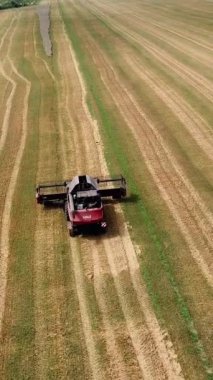 Yaz hasadının havadan görünüşü. Büyük tarlaları hasat eden hasatçıyı birleştirin. İHA görünümünden tarım.