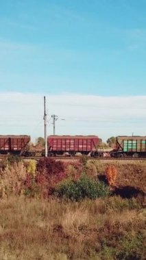 Yük trenlerinin vagonları yazın kırsal alandaki binaların arka planında demiryollarından geçiyor..