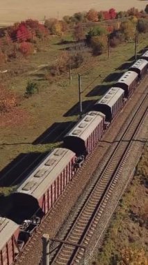 Vagonları olan yük treni, sıcak havalarda tarlaların arka planında ağaçlarla birlikte demiryollarının yakınından geçiyor. Hava görünümü