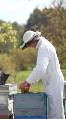 Organik arıcılık. Beyaz takım elbiseli profesyonel arı yetiştiricisi ve yaz aylarında arıları denetleyen koruyucu şapka. Kovanında duman olan baca. Profil görünümü. Ağır çekim. Dikey video