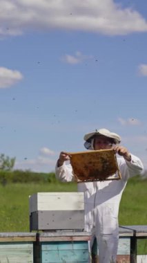Arı yetiştiricisi hasat için balı çerçeveye koyar. Tahta arı kovanlarının yanında çalışan bir Apiarist güzel bir yaz doğası geçmişi var. Apiculture. Dikey video