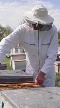 Apiarist kovandan bal peteğiyle çerçeveyi çıkarıyor. Beyaz takım elbiseli ve şapkalı profesyonel arı yetiştiricisi yaz doğasında arıcılık yapıyor. Dikey video