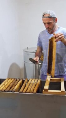 Arı efendisi içeride bal topluyor. Erkek arıcı, bir çiftlikte bal pompalamadan önce çerçeveleri bal peteğiyle hazırlıyor. Dikey video