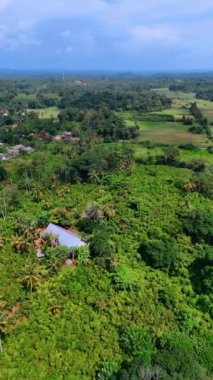 Sri Lanka 'nın yeşil manzarasının güneşli manzarası. Evlerin çatıları bitki örtüsü arasında görülebilir. Havadan bakış açısı. Dikey video.