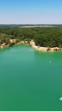 Güzel kuşlar göl manzarası görürler. Huzurlu doğal manzaraların üzerinde uçmak. Dikey video