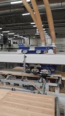 Modern ekipmanlar ahşap fabrikasında ahşap tahtaları parlatıyor. Parke üretimi. Üretim hattı Dikey video