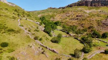 Dağların yamacındaki inekler için mastürbasyon. Kayalık arazideki veld 'in üstündeki drone görüntüleri..