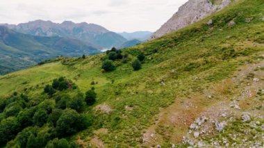 Çimenler, çalılar ve yosunlar dağın yamacında yetişir. Kayalık arazinin üstündeki drone görüntüleri.