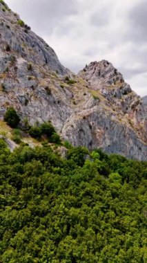 Çıplak gri kayanın yanında yemyeşil orman büyüyor. Arka planında turkuaz suyu olan dağlık bir göl. Gökyüzünde dramatik bulut manzarası. Dikey video.