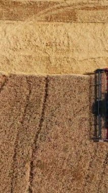 Çiftçilik kavramı. Tarımı hasat ederken havadan çekilen görüntüler. Dikey video