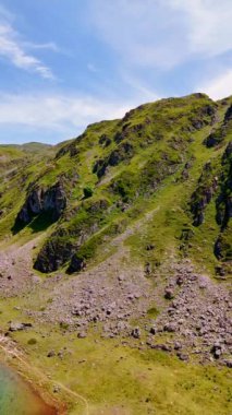 Yosun ve yosunla kaplı bir dağ. Bazı taşlar parçalara ayrılıp bir kayaya dönüştü ve ayağının dibinde yattı. Hava görüntüleri. Dikey video.
