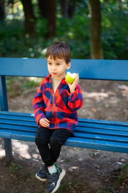 Elinde elmayla mavi bir bankta oturan küçük bir çocuk. Bir çocuk, gün boyunca ağaçlık bir alanda mavi bir bankta otururken yeşil bir elmanın tadını çıkarır..
