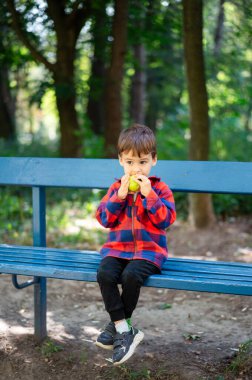 Küçük çocuk güneşli bir parkta atıştırmanın tadını çıkarıyor. Parktaki bankta tek başına oturan bir çocuk, yeşilliklerle çevrili bir elmayla mutlu bir şekilde atıştırıyor..