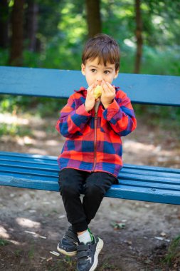 Bankta elma yiyen bir çocuk. Kareli ceketli genç bir çocuk mavi bir bankta oturuyor, yemyeşil bir parkta taze bir elmadan bir ısırık alıyor..
