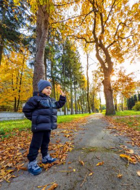 Parkta güneşli bir sonbahar gününün tadını çıkaran bir çocuk. Genç bir çocuk yapraklarla kaplı bir patikada duruyor. Etrafı canlı sonbahar ağaçlarıyla çevrili, güneşin altında güneşleniyor..