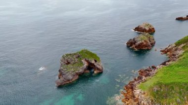 Su yüzeyinden çıkan yosunlarla kaplı büyük kayalar. Denizin üstünde, kayalık sahilde drone görüntüleri..