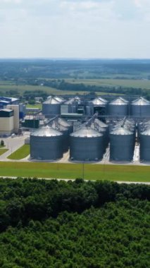 Modern silolar sahada. Yeşil doğa arasında tahıl depolama sanayi bölgesi. Kırsal kesimde tarım için bir depo. Hava görüntüsü. Dikey video