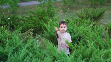 Güzel çocuk kameraya yaklaşan çalıların arasında yürüyor. Yazın doğayı keşfeden küçük bir çocuk.