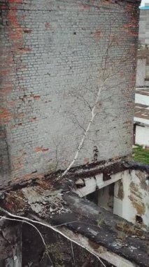 Terk edilmiş fabrika. Terk edilmiş eski bir endüstriyel binanın havadan görüntüsü dikey video.