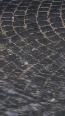 Şehirdeki kaldırımlardan su akıyor. Yağmur damlaları caddede akan bir su akıntısına dönüşüyor. Dikey video