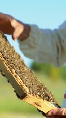 Koruyucu takım elbiseli ve şapkalı bir adam bahçesinde bal peteği olan bir çerçeve tutuyor. Dikey video