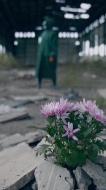 Doğa tehlikede. Güvenlik giysisi ve gaz maskeli bir ekolojist terk edilmiş yerlere çiçek yerleştiriyor. Biyokimyasal saldırı ve kirlenmiş çevre konsepti. Dikey video