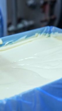 Kutudaki yumuşak süt ürünü. Süt çiftliğinde taze tereyağı üretimi. İşçi tereyağı ürününü konteynırdaki dikey görüntülerde...