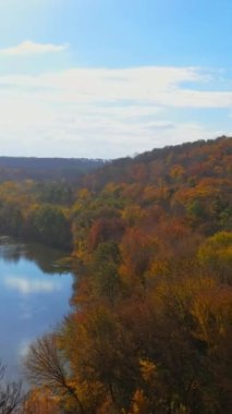 Sonbaharda doğa manzarası. Sonbahar mevsiminde ve nehirde parlak ağaçları olan cennet ormanlarının panoramik manzarası. Turuncu, yeşil, sarı, kırmızı ağaç tepeleri. Hava görüntüsü. Dikey video