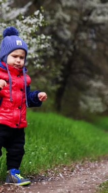 Ceketli ve şapkalı sevimli çocuk doğada yürüyor. Tatlı çocuk güneşli bahar gününde yürüyüş yapmaktan hoşlanıyor. Dikey video