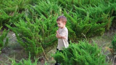 Küçük çocuk elleri göğsünde katlanmış şekilde yürür. Yeşilliklerin arasındaki parkta kaşlarını çatmış bir çocuk..