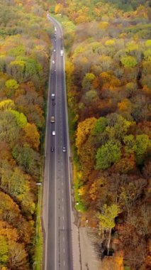 Sonbaharda ormanda otoyol. Sonbahar zamanı renkli ağaçların olduğu güzel ormanın ortasında hareket halindeki arabalarla dolu uzun bir yol. Yukarıdan aşağıya doğru. Dikey video
