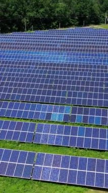 Yeşil doğa arka planında güneş paneli çiftliği. Güneşli bir günde sahada güneş enerjisi santrali. Güneş panelleri güç üretimi için sıra sıra dizildi. Alternatif enerji kaynakları. Hava görüntüsü. Dikey video