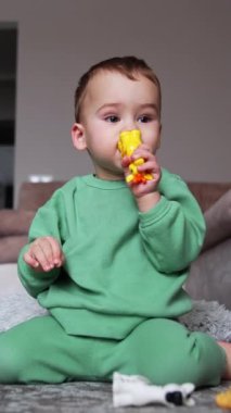 Yerde oturup oyuncaklarla oynayan sevimli bir bebek. Bebek oyuncağı çiğniyor, sonra düşürüyor ve kameraya tırmanıyor. Dikey video