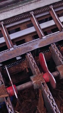 Bıçkıhane. Ağaç kabuklarını ağaç kütüklerinden temizleme işlemi. Taşıyıcılı özel makineler. Kereste endüstrisinde ağır teknisyen. Yukarıdan bak. Dikey video