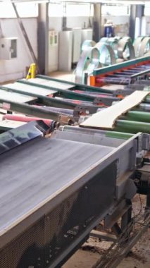 Kereste atölyesini testereyle kestikten sonra tahta tahtalar. Ağaç kesme endüstrisi. Özel teknisyen kapanışı. Tahta tabanlı endüstri. Dikey video