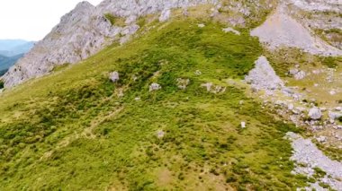 Dev dağın yeşil yamacı boyunca yükselen çimenler ve zambaklarla kaplı. Çıplak kayanın gri tepesinde alçak açılı görüş.