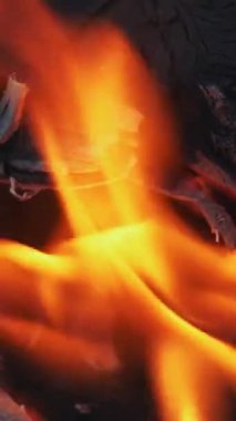 Yavaş Çekimde Yanan Ateş. Orman yangını. Yavaş çekim Dikey video