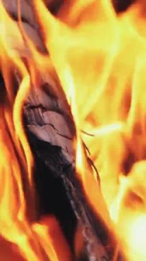 Şöminede odun yakmak ve alevler. Şenlik ateşi. Yavaş çekim Dikey video