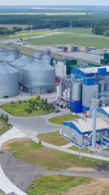 Tahıl işlemek için yenilikçi bir bitki. Güzel yeşil arazide tarım işi için büyük bir kompleks. Tahıl asansörleri devrede. Hava görüntüsü. Dikey video