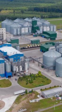 Kırsalda büyük bir endüstriyel kompleks. Modern tahıl ambarı. Güzel yeşil manzaranın yanındaki arazide metal silolar var. Hava görüntüsü. Kamera yükseliyor. Dikey video